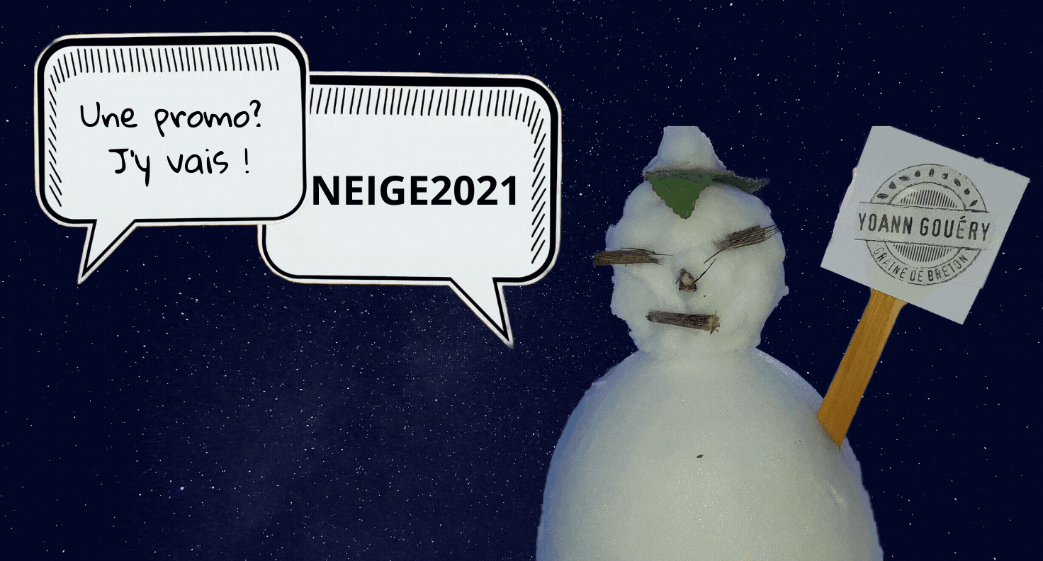 Code promo NEIGE2021